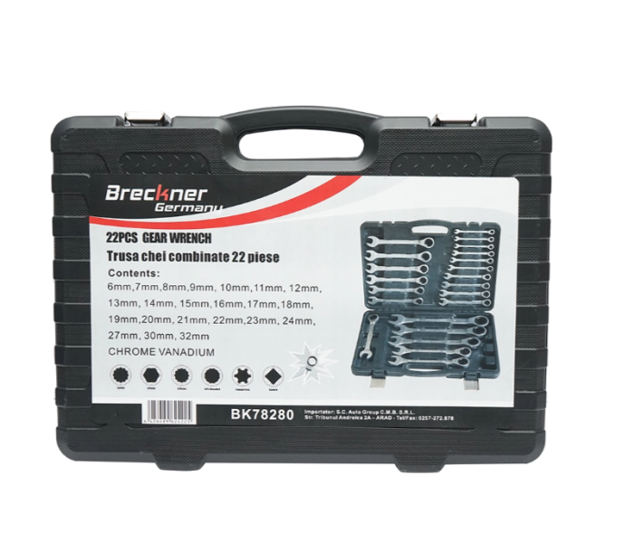 Trusa 22 chei combinate cu clichet 6-32mm CrV DISLN78 (BK78280) [2]