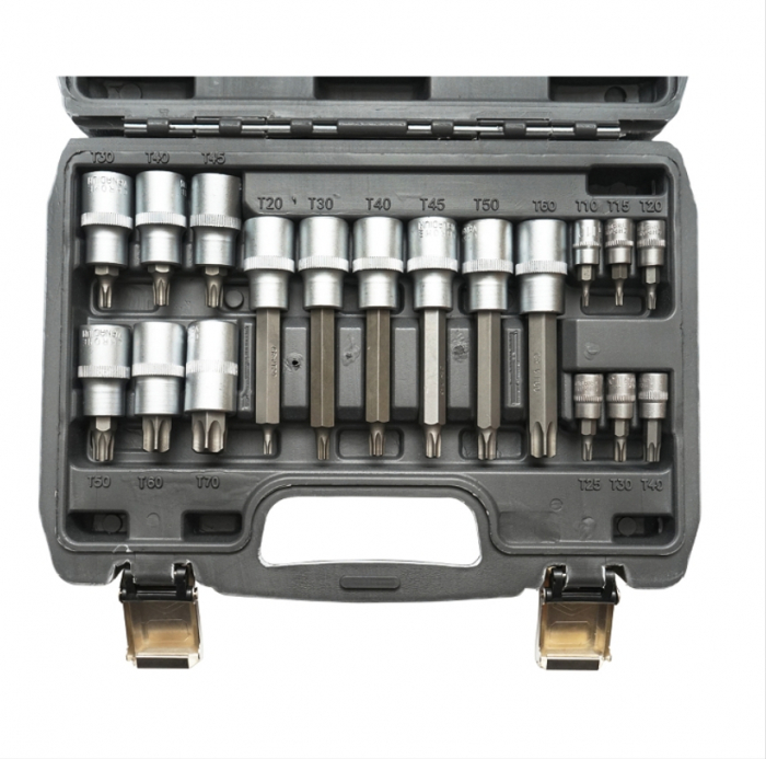 Trusa profesionala torx cu biti torx T10-T70 18 piese DISLF91 (BK88727) [4]