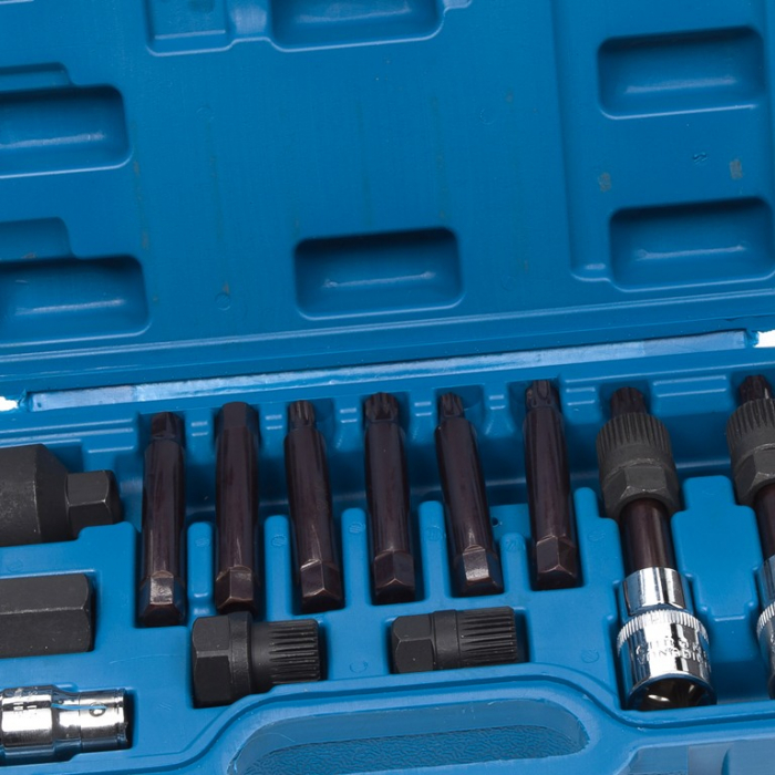 Trusa set montare demontare fulie alternator 13 piese (FR4041) [3]