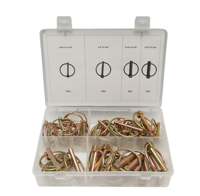 Trusa sigurante bolt cu clema 50 piese DISFH17 (BK92161) [1]