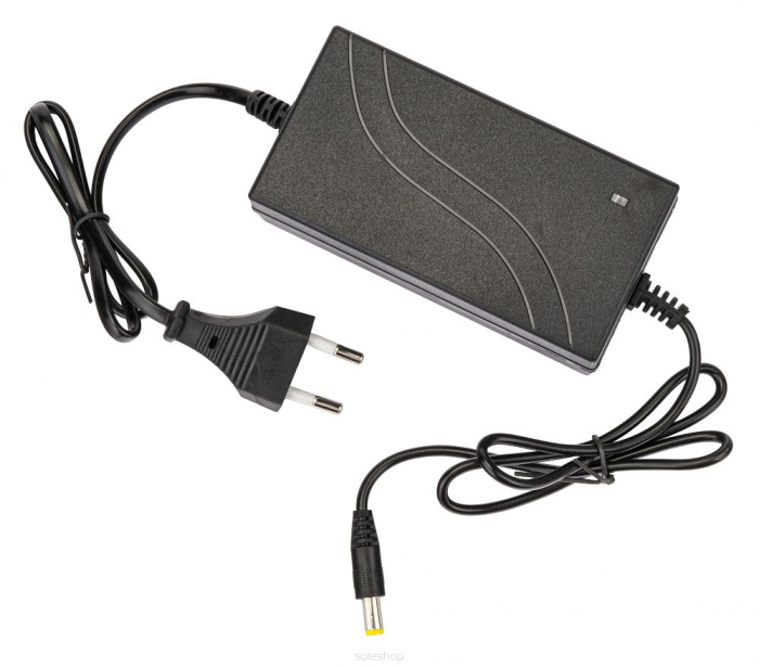 Ventuza vibranta electrica 180mm pe baterie 2x21V 2ah vibrator aliliere nivelare placi (RTAPW0053) [13]