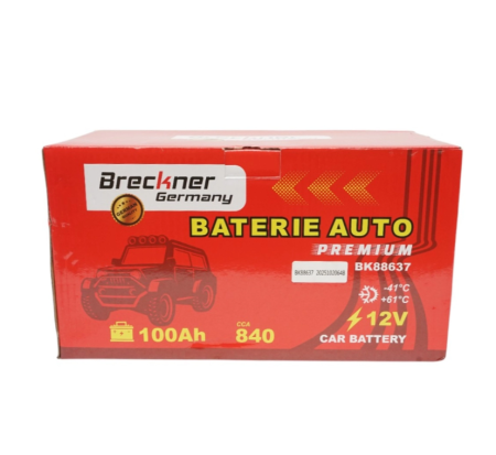 Baterie auto 100Ah, 12V, Curent pornire 840A, Fara intretinere, 353x175x190mm DISNX83 (BK88637) [5]