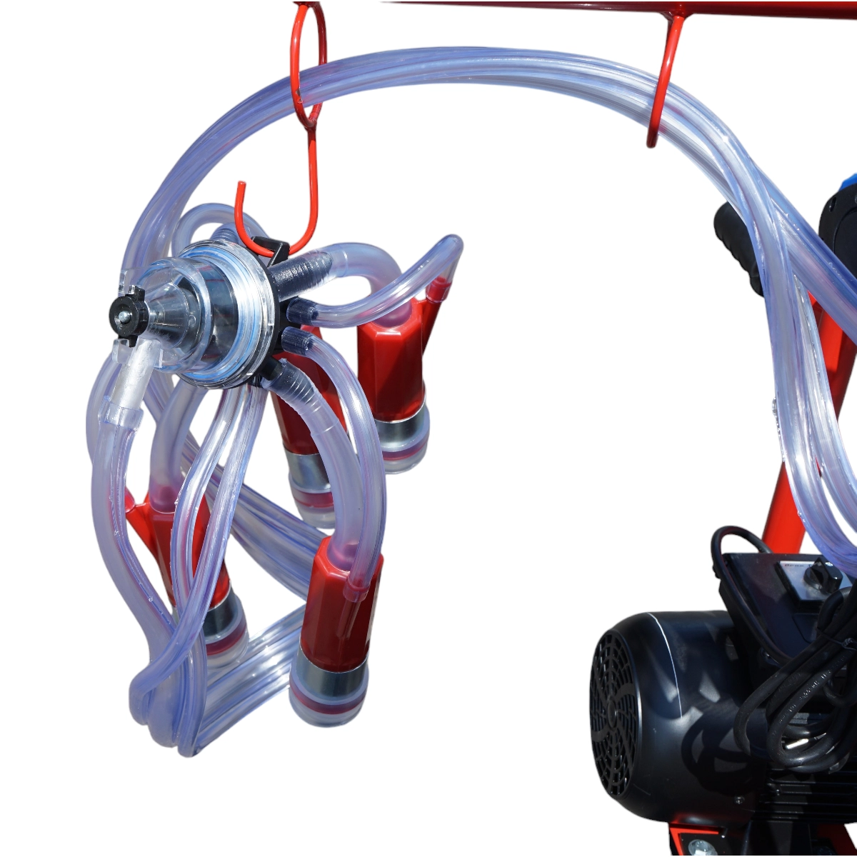 Aparat de muls vaci 1 post bidon 30L aluminiu cu vid in cadru vacuum DISDT46 (BK98077) [10]