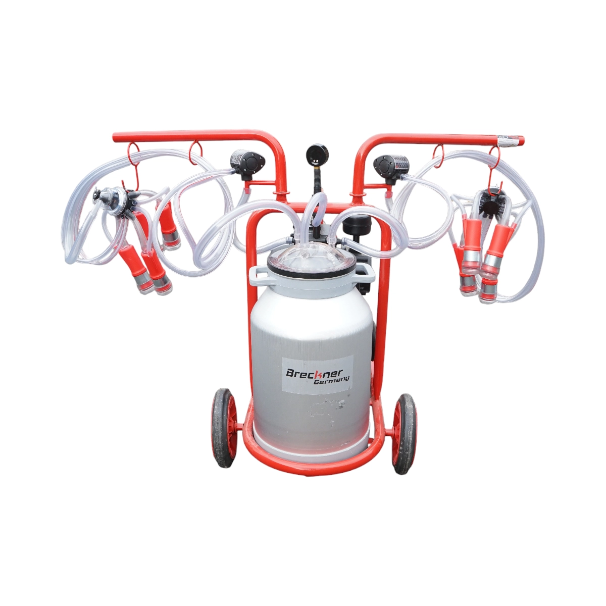 Aparate de muls - Aparat de muls vaci cu 2 posturi, bidon aluminiu 40L, rezervor vid si pompa uscata DISGF41 (BK98560)