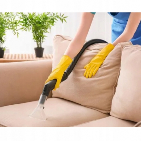 Aspirator multifunctional 2000W 20L umed  uscat  cu spalare extractie curatare covor tapiterie (N4905) [10]