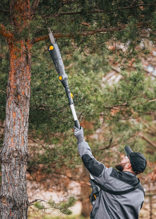 Ferastrau electric telescopic 1000W, lungime 184-240 cm, lama 25 cm, PM0502 (PM-EPW-1000) [6]