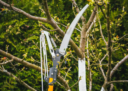 Foarfeca telescopica si ferastrau de gradina 2 in 1 lungime 2.4m  PM0963 (PM-SKTT-2.4T) [11]