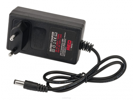 Minidrujba fierastrau drujba electrica baterii 2 baterii 20V 2Ah 2 lanturi (RTMPA0022) [8]