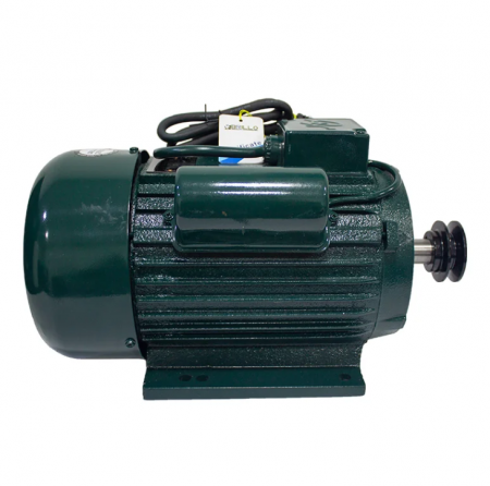 Motor electric 3kW monofazat 220V 3000rpm (BR-ME330) [1]