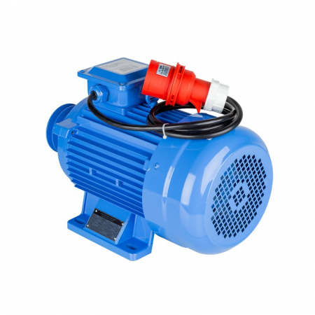 Motor electric 7kW trifazat 380V 400V 2850rpm trifazic (S1007-28) [2]