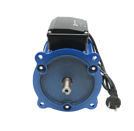 Motor electric monofazat 1100W 220V 3900rpm ax 19mm pentru utilaje si ateliere (DISLP90) [2]