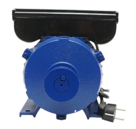 Motor electric monofazat 2200W 220V cu protectie termica stator 145x80mm 3000rpm DISTW33 (BK76329) [2]