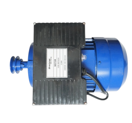 Motor electric monofazat 2200W 220V cu protectie termica stator 145x80mm 3000rpm DISTW33 (BK76329) [6]