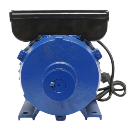 Motor electric monofazat 4000W 220V cu protectie termica stator 160x110mm 3000rpm DISTW35 (BK76331) [2]