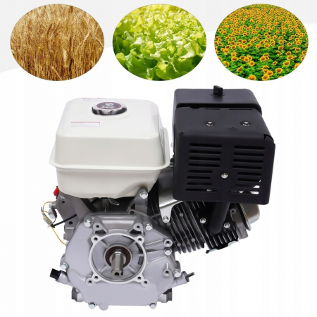 Motor pe benzina 4 timpi 15CP ax cu pana 25,4mm (V60261) [6]