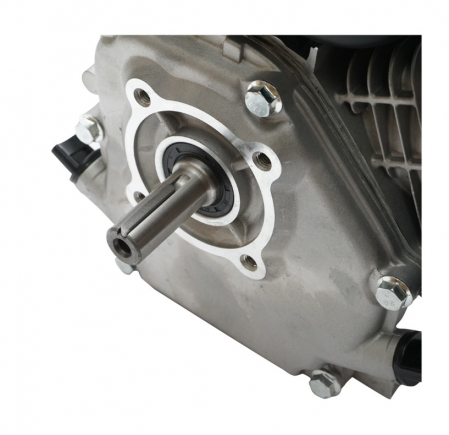 Motor pe benzina 7.5CP + fulie ax cu pana 20mm + ulei 4 timpi DISFB96 (BK19816+F+U) [6]