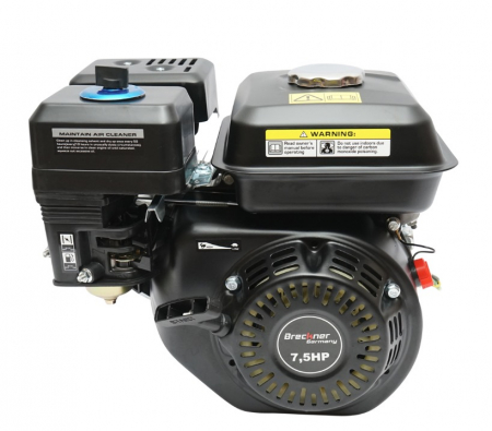 Motor pe benzina 7.5CP + fulie ax cu pana 20mm + ulei 4 timpi DISFB96 (BK19816+F+U) [8]