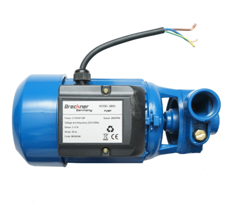 Pompa apa de suprafata, 750W, 45L/min, adancime 50m, 220V QB80 DISDU98 (BK98546) [3]