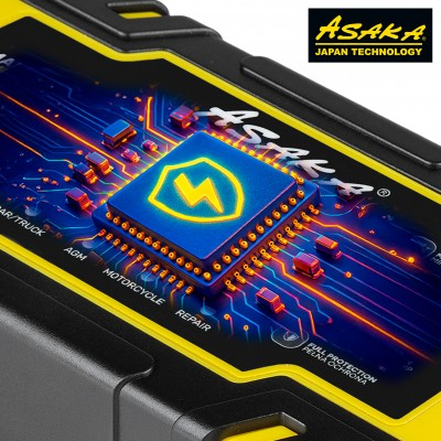 Redresor microprocesor cu functie de regenerare 12v/24v (AS3096) [13]