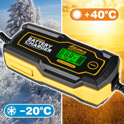 Redresor microprocesor pentru baterii 1,2-120ah 6v/12v (AS3095) [8]