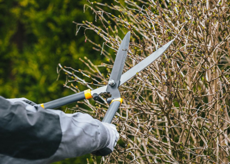 Set 3 foarfece gradinarit pentru crengi, gard viu si pomi, otel rezistent PM0986 (PM-ZNDZ-3T) [11]