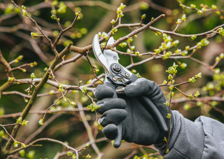 Set 3 foarfece gradinarit pentru crengi, gard viu si pomi, otel rezistent PM0986 (PM-ZNDZ-3T) [10]