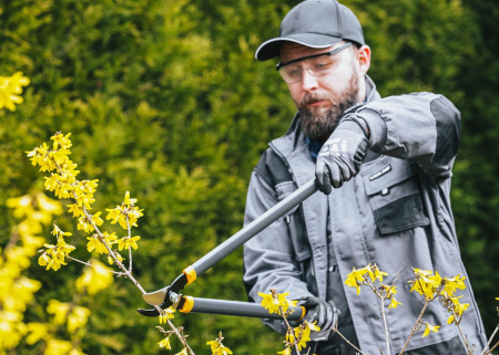 Set 3 foarfece gradinarit pentru crengi, gard viu si pomi, otel rezistent PM0986 (PM-ZNDZ-3T) [13]