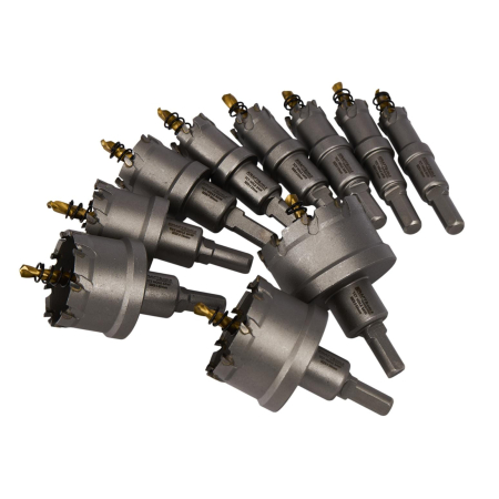 Set carote vidia metal 16-53mm M14 10piese (KD10061) [6]