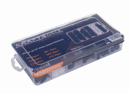 Set cleme fixare tapiterie, 100 elemente (KD10498) [5]