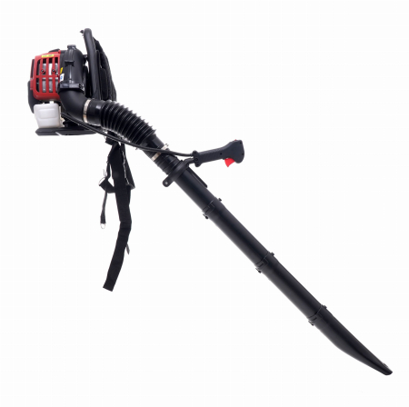 Suflanta frunze pe benzina 2 CP 10 kg (KD5154) [8]