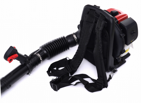 Suflanta frunze pe benzina 2 CP 10 kg (KD5154) [1]