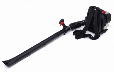 Suflanta frunze pe benzina 2 CP 10 kg (KD5154) [10]