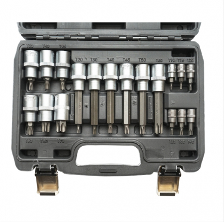 Trusa profesionala torx cu biti torx T10-T70 18 piese DISLF91 (BK88727) [3]