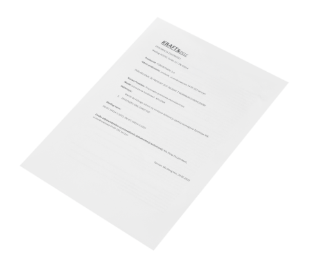 Ventuza vibranta electrica pe baterie 7.4V 2Ah 200Kg 200mm vibrator aliliere nivelare placi (KD11964) [5]