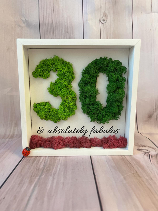 Ramă 30 de ani [1]