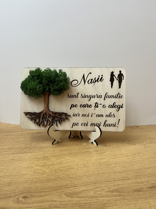 Placheta Nasi [1]