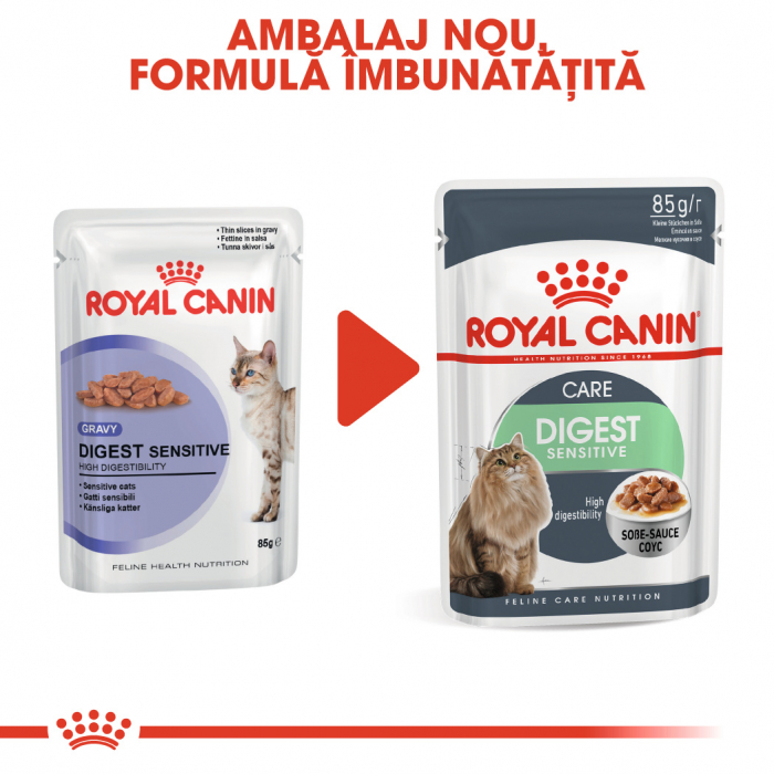 Royal Canin Digest Sensitive Care Adult, plic hrană umedă pisici, confort digestiv, (în sos), 12 x 85 g [2]