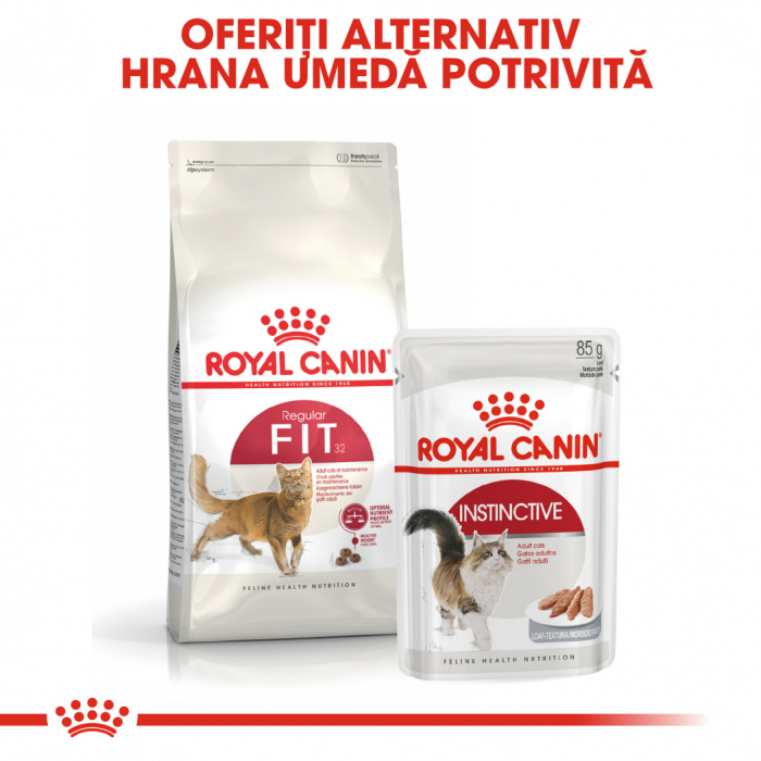 ROYAL CANIN Fit32 Adult, hrană uscată pisici, activitate fizică moderată, 10 kg [4]
