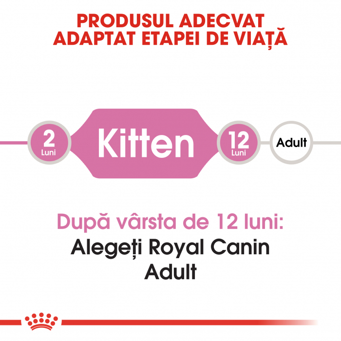 Royal Canin Kitten, hrană uscată pisici junior, 10 kg [2]