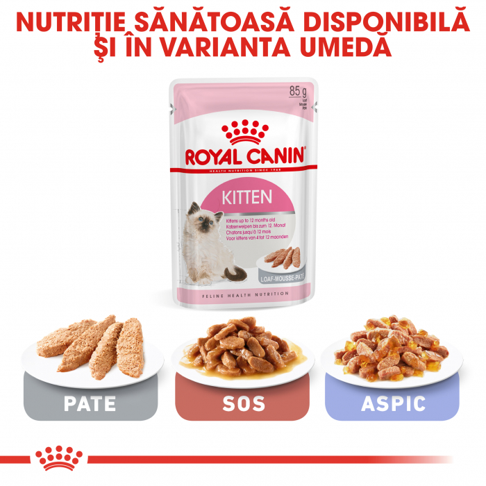 Royal Canin Kitten, hrană uscată pisici junior, 4 kg [6]