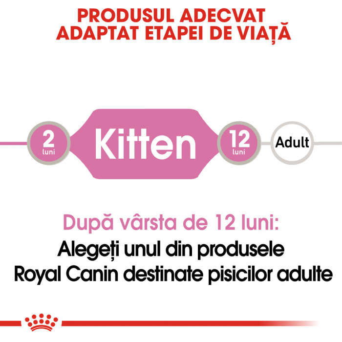 Royal Canin Kitten, bax hrană umedă pisici, (în sos), 12 x 85 g [2]