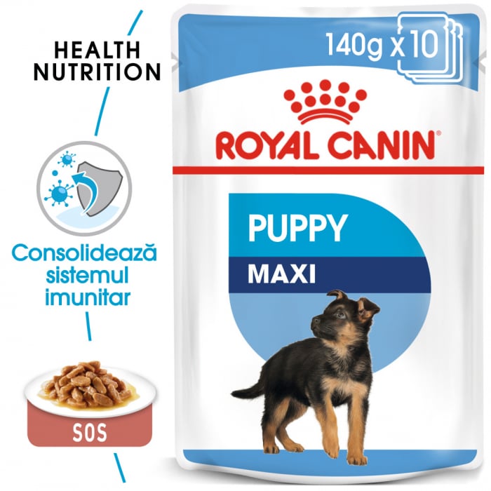 Royal Canin Maxi Puppy, bax hrană umedă câini junior, (în sos) 10 x 140 g [1]