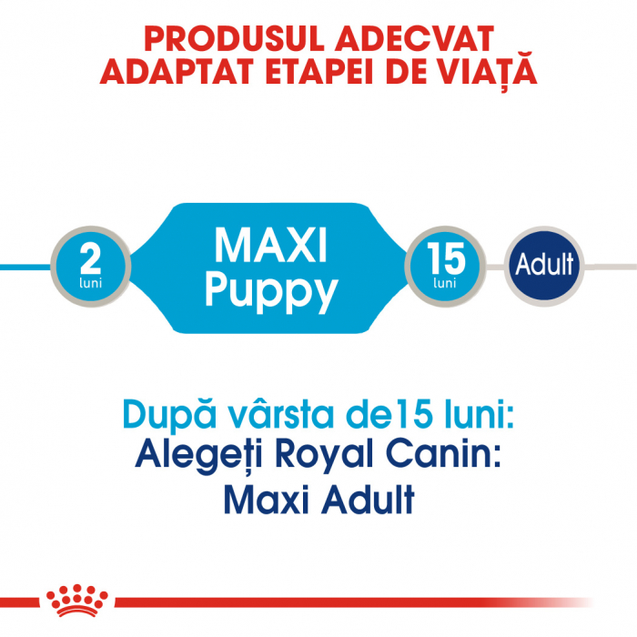 Royal Canin Maxi Puppy, bax hrană umedă câini junior, (în sos) 10 x 140 g [2]