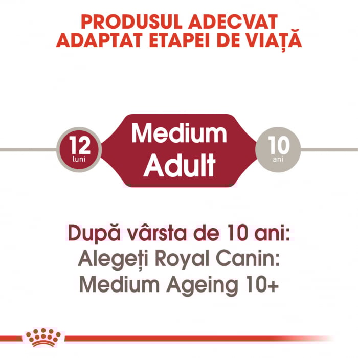 Royal Canin Medium Adult, bax hrană umedă câini, (în sos) 10 x 140 g [2]
