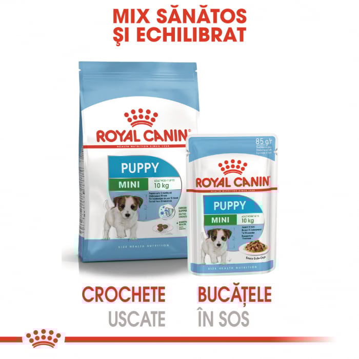 Royal Canin Mini Puppy, plic hrană umedă câini junior (în sos), 12 x 85 g [5]
