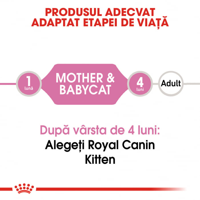 ROYAL CANIN MOTHER & BABYCAT CAN MOUSSE 195 g [2]