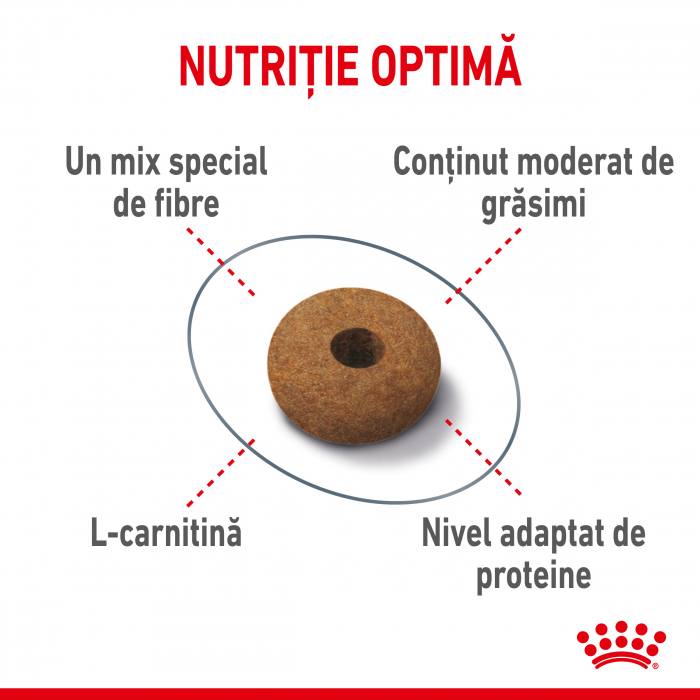 Royal Canin Appetite Control Care, hrană uscată pisici, adult sterilizat, reglarea apetitului, 400G [3]