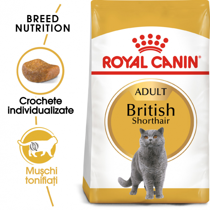 Royal Canin British Shorthair Adult, hrană uscată pisici, 2 kg [1]