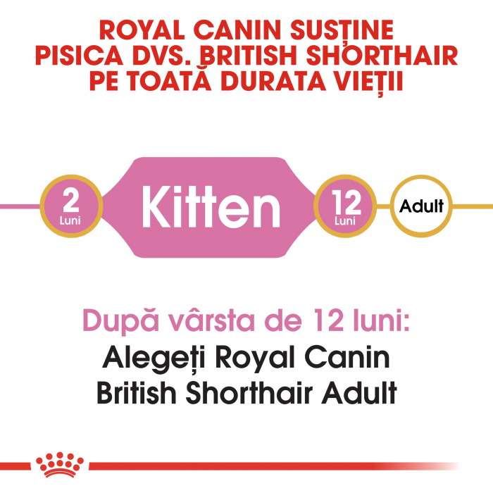 Royal Canin British Shorthair Kitten, hrană uscată pisici junior,10 kg [2]