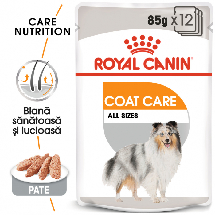 Royal Canin Coat Care Adult, plic hrană umedă câini, blană sănătoasă și lucioasă, (pate), 12X85G [1]